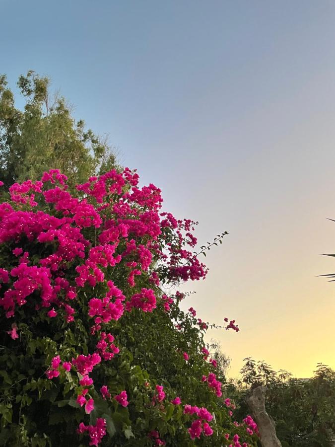 Villa Maina Kamári Buitenkant foto